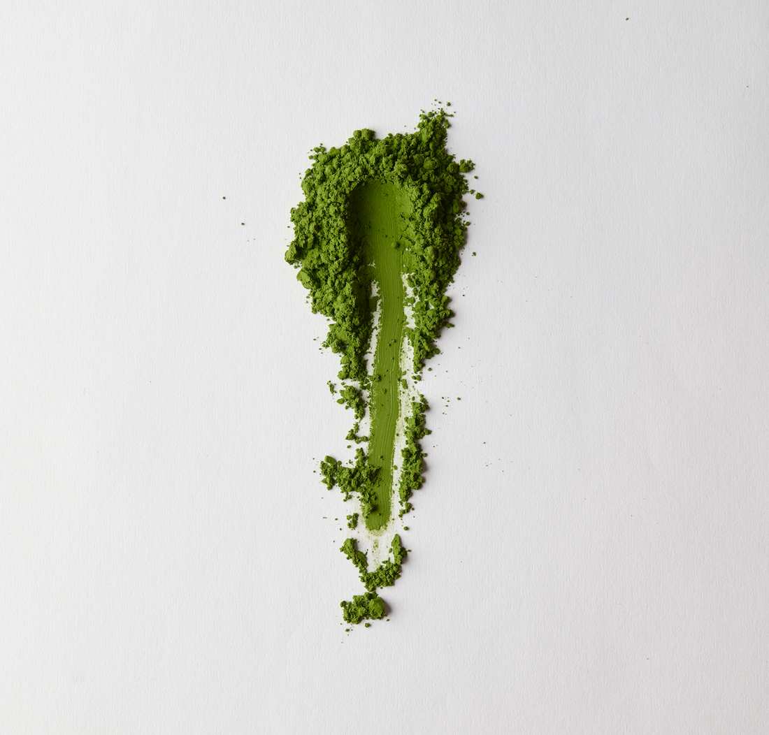 PRE-ORDER - Kyushu Matcha – Premium Saemidori (First Flush)