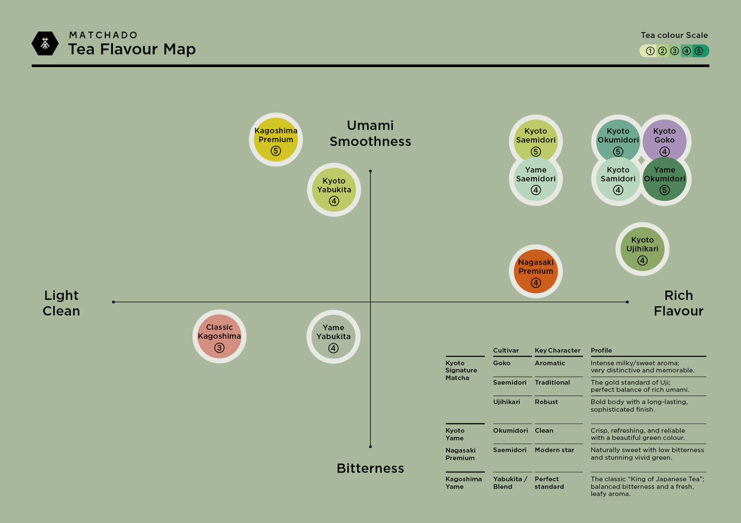 MATCHADO Tea Flavour Map with tea categories on a green background