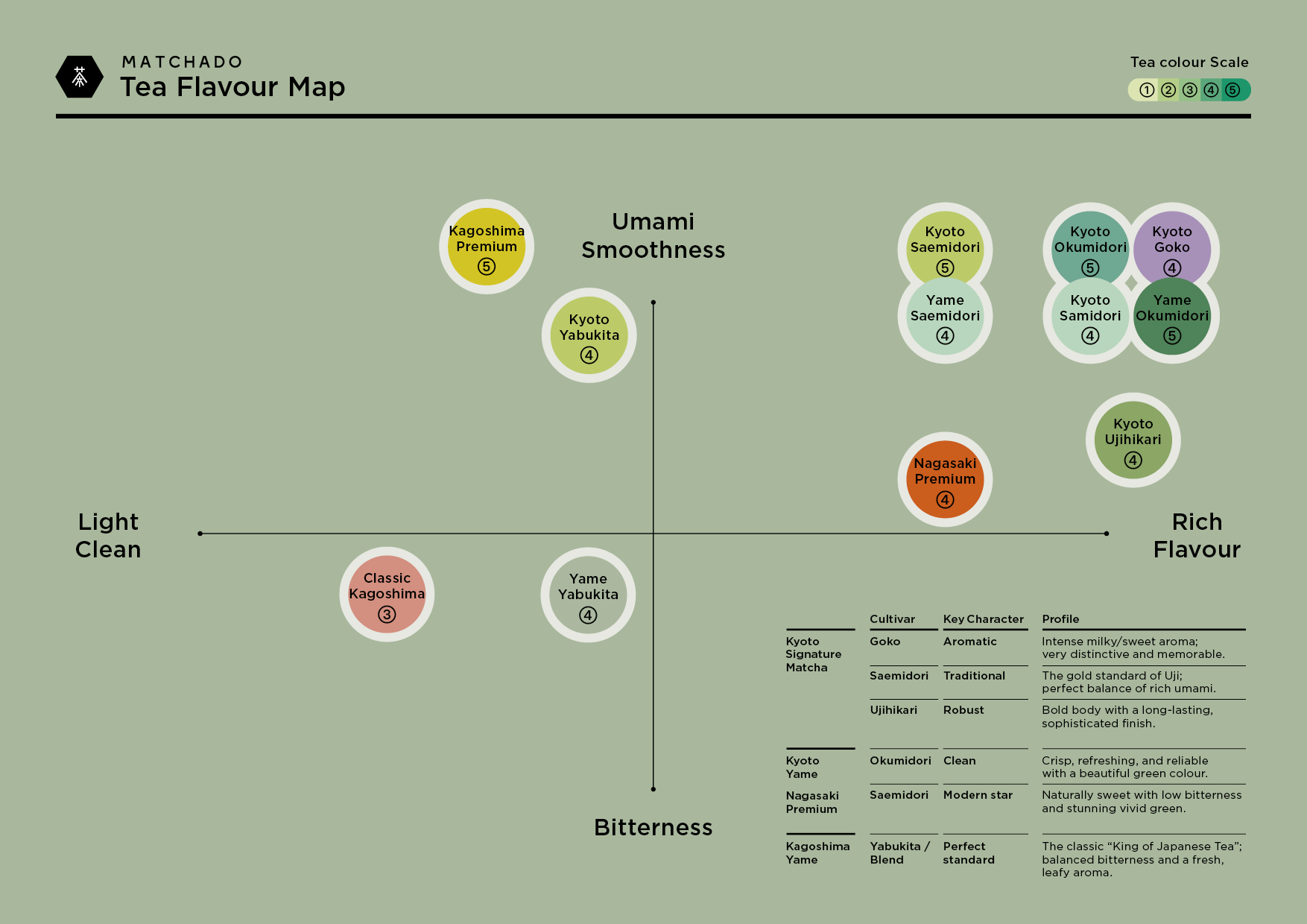 MATCHADO Tea Flavour Map with tea categories on a green background