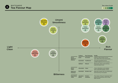 MATCHADO Tea Flavour Map with tea categories on a green background