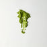 MATCHADO Matcha - Kagoshima J1 Single Origin (Wholesale). Matcha in a pyramid shape on a white background