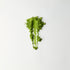 MATCHADO Kyoto Ujihikari Unsweetened Matcha (NEW) - Single Origin - Creamy & Subtly Savoury Flavor. Matcha powder in the shape of a mountain on a white background