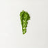 MATCHADO Nagasaki Premium Matcha. Spoonful of green powder on a white background.