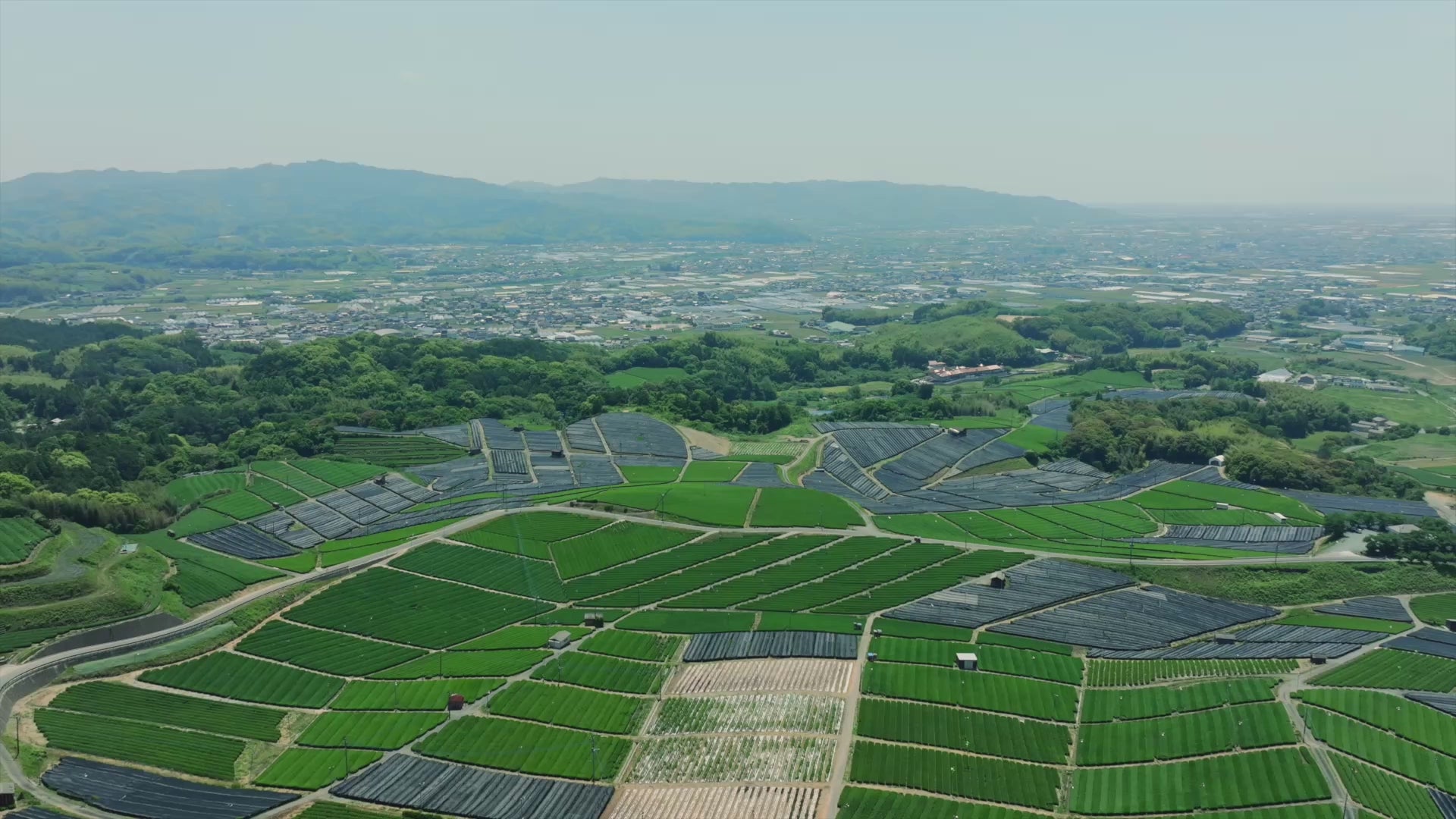 Load video: Where Matcha Begins video